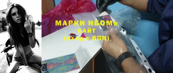 шишки Арсеньев