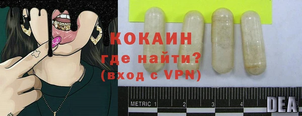 шишки Арсеньев