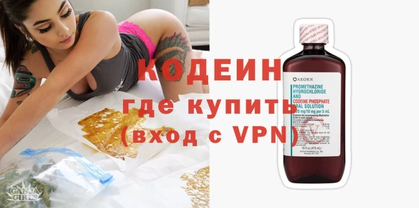 шишки Арсеньев