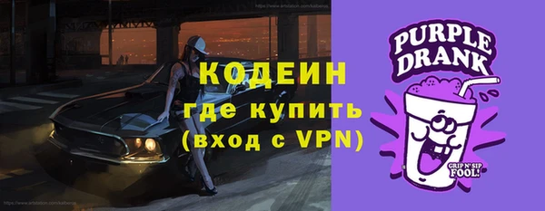 шишки Арсеньев