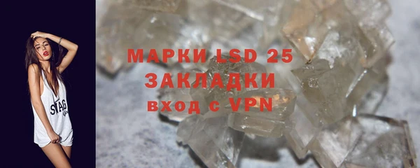 шишки Арсеньев