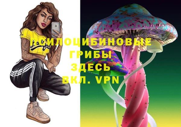 шишки Арсеньев