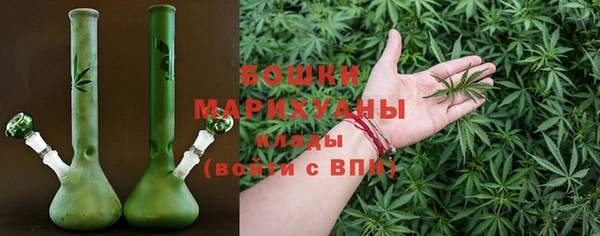 шишки Арсеньев
