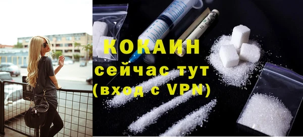 шишки Арсеньев