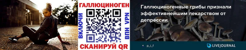 Купить  Красноярск  Галлюциногенные грибы Cubensis 